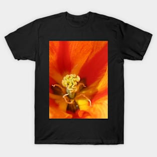 Fire Petal T-Shirt